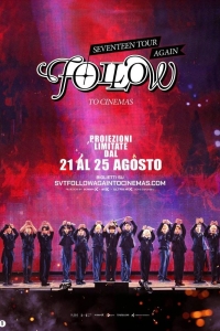 Seventeen Tour "Follow Again"